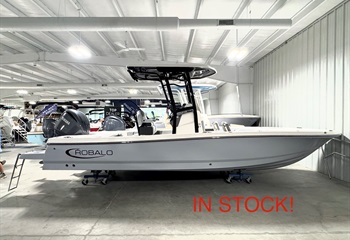 2027 Robalo 246 Cayman Alloy Gray  Boat